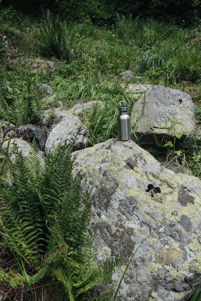 Metal Bottle on Boulder